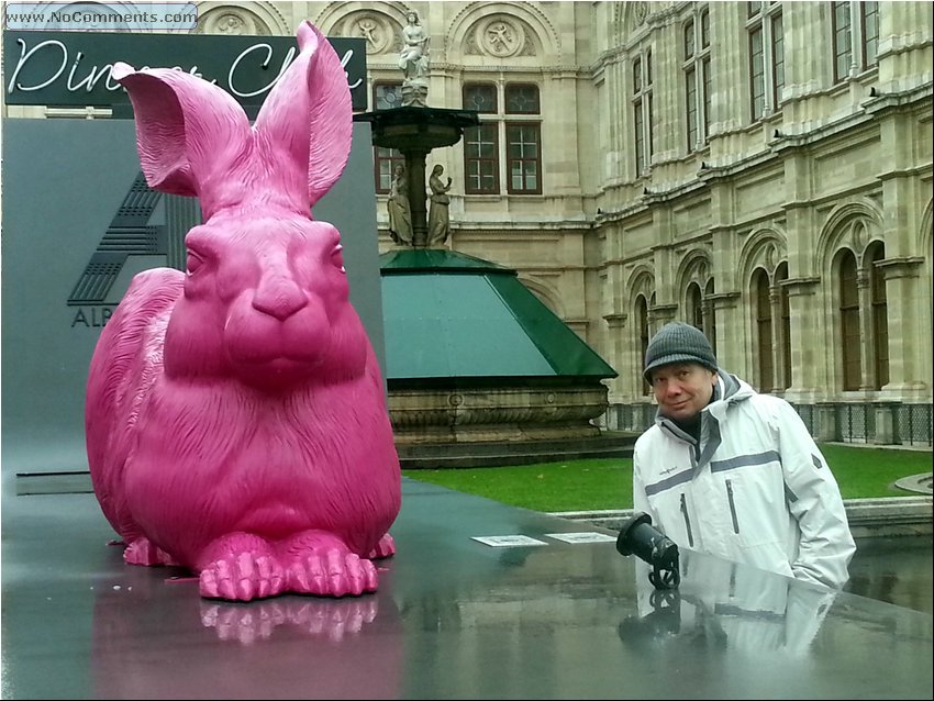 Vienna, near state opera.jpg