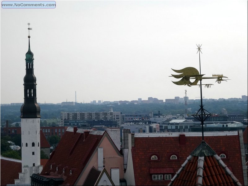 Tallin_30.JPG