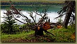 20190716_094456.jpg