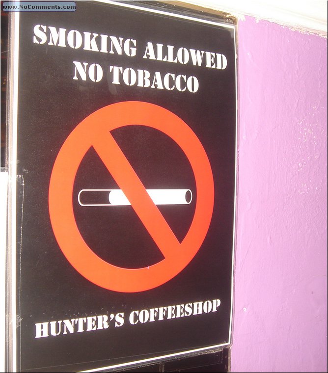 In Amsterdam smoking pot is OK, tobacco is not.JPG