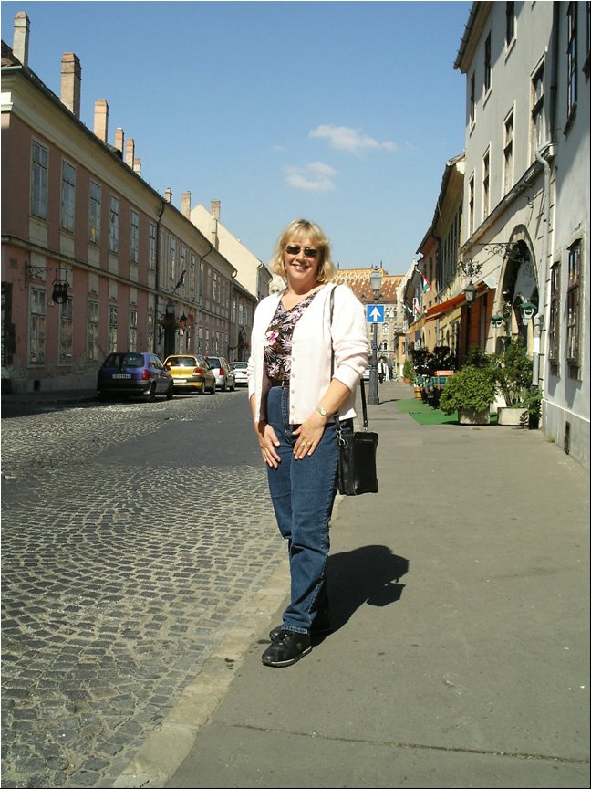 Budapest Royal Palace6.jpg