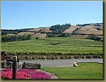 Navarro Vineyards 1.JPG