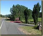 Navarro Vineyards.JPG