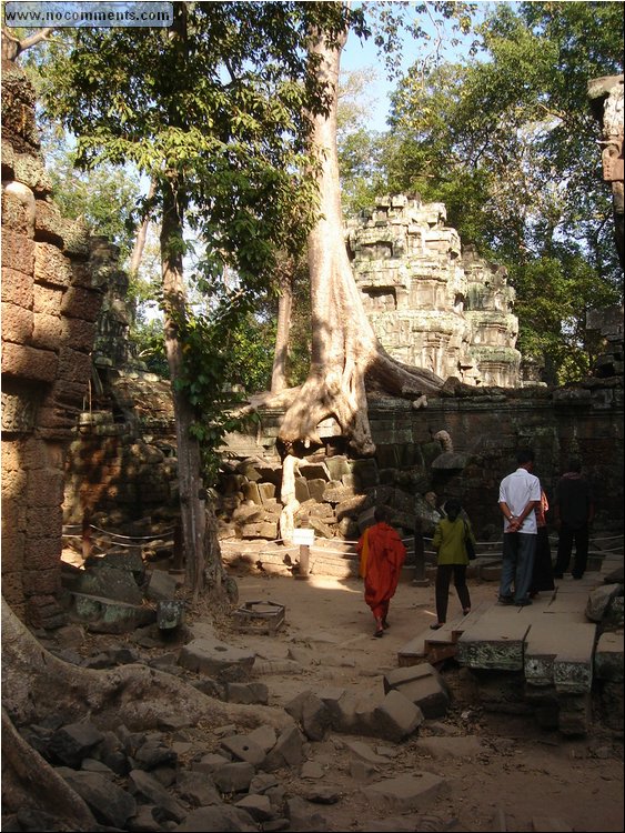 Ta Prohm Temple 2.JPG