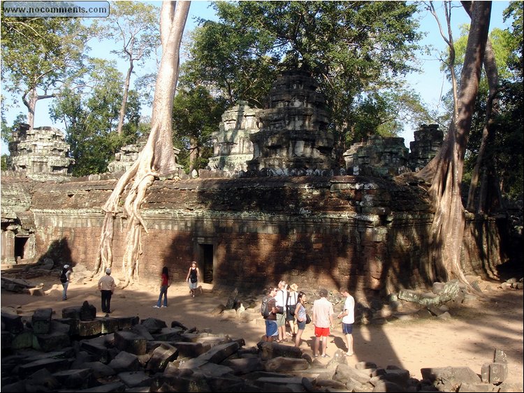 Ta Prohm Temple 4.JPG