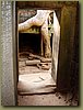 Ta Prohm Temple - root of all evils ;).JPG
