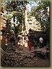 Ta Prohm Temple 2.JPG