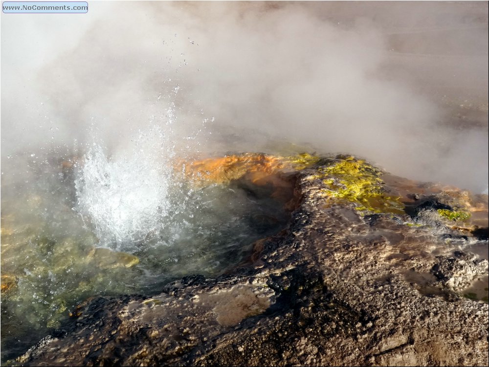 El Tatio geysers 12.JPG