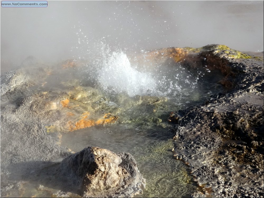 El Tatio geysers 16.JPG