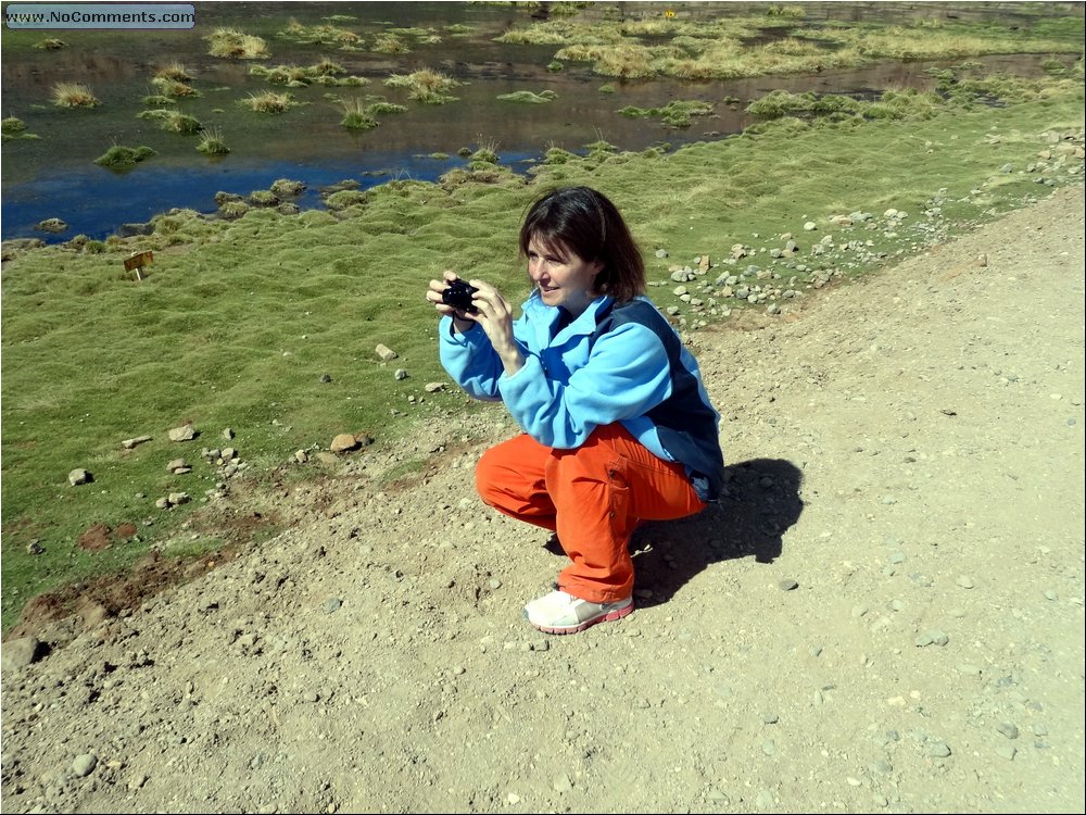 El Tatio geysers 18.JPG