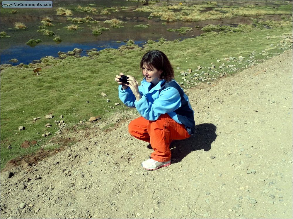 El Tatio geysers 18.JPG