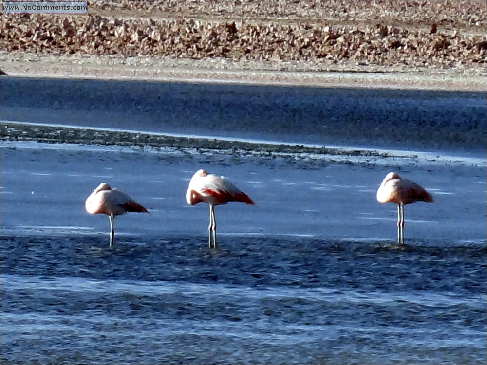 Salt desert 04.JPG