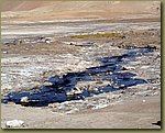 El Tatio geysers 17.JPG