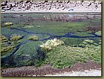 El Tatio geysers 19.JPG