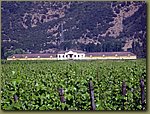 Casa Silva Winery 04.JPG