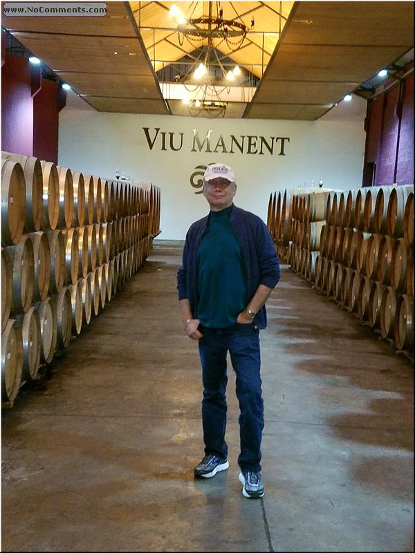 Viu_Manent_Winery_07.jpg