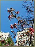 Santiago_01.jpg