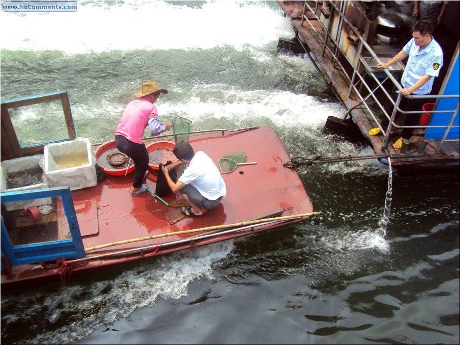 Li River fishermen.JPG