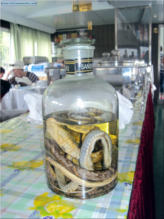 Snake wine for real men.JPG