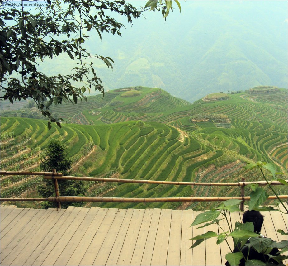 terraces 3b.JPG