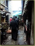 z locals 6.JPG