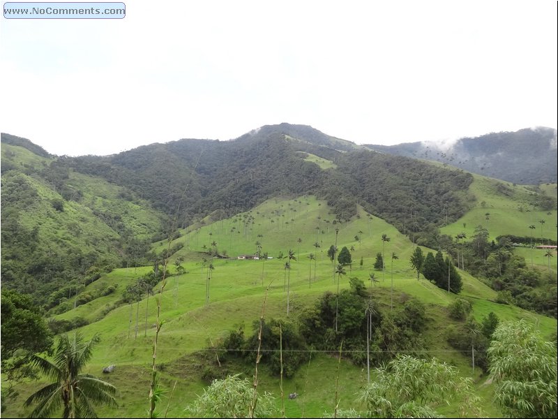 Coffee_Region07.JPG