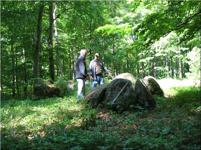 Ringsted Birger forest 08.jpg