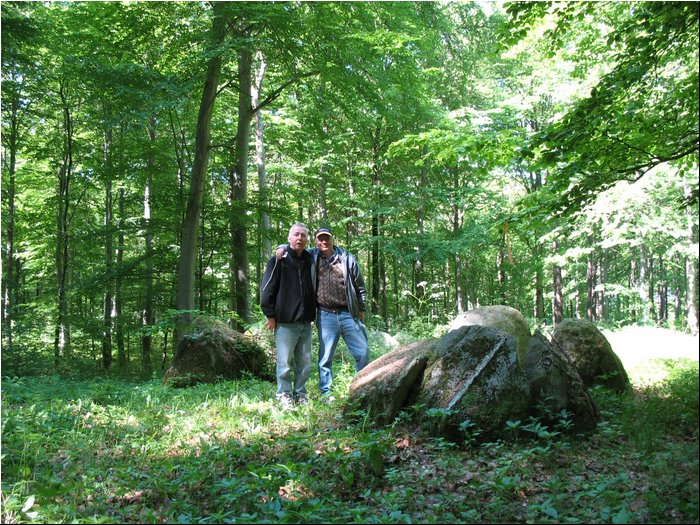 Ringsted Birger forest 10.jpg