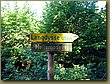 Ringsted Birger forest 06.JPG