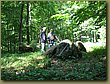 Ringsted Birger forest 08.jpg