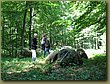 Ringsted Birger forest 09.jpg
