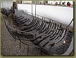 Roskilde - Viking Museum 01.JPG