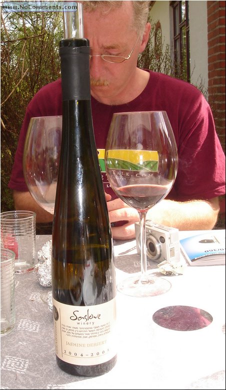 Saslove - the undrinkable bottle.JPG