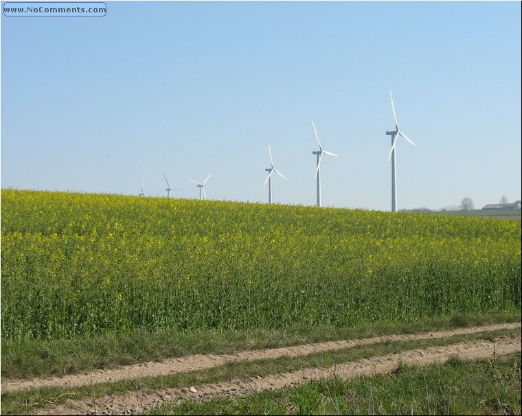 Wind Turbines.jpg