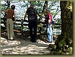 Looking at White Cliffs.jpg