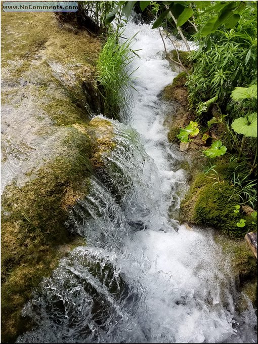 20180605_152813.jpg
