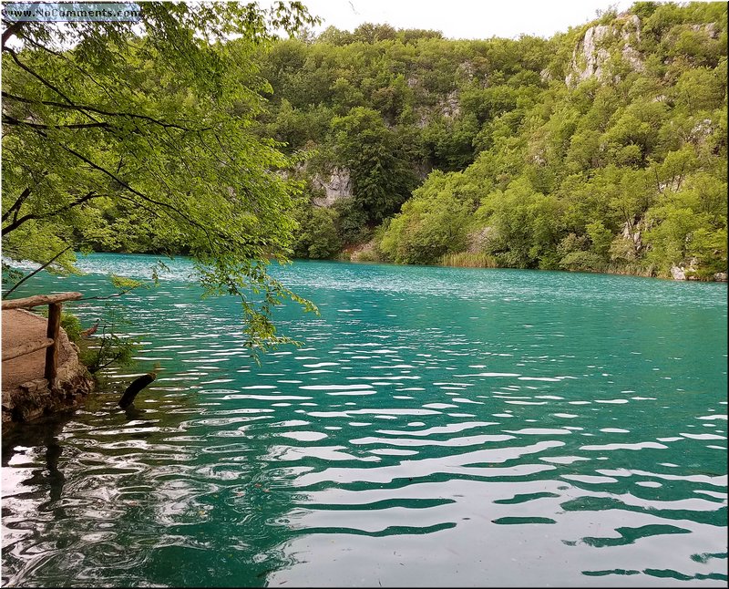20180605_155236.jpg