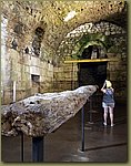 20180604_150031.jpg