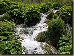 20180605_152700.jpg
