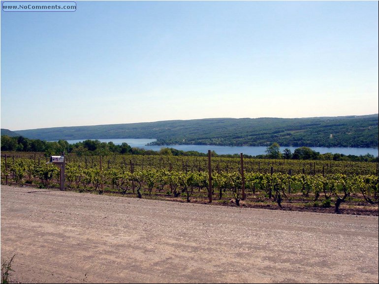 Finger Lakes.JPG