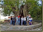 20190506_173653.jpg