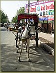 In Agra 01.JPG