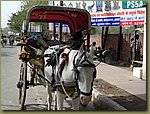 In Agra.JPG