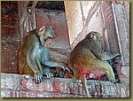 Red Fort 04.JPG