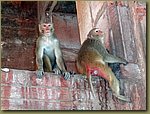 Red Fort 05.JPG
