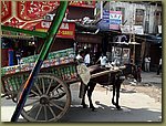 Delhi Street 06.JPG