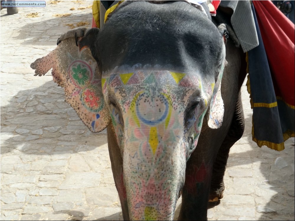 Amer Fort 08.JPG