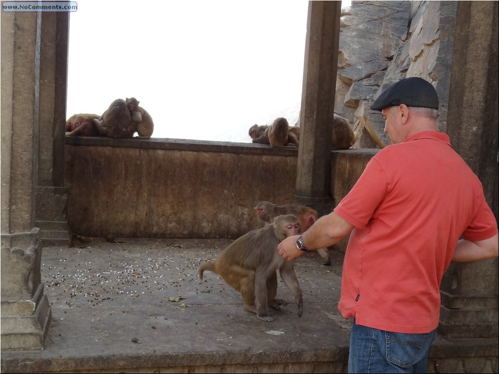 Jaipur Monkey Temple 10.JPG