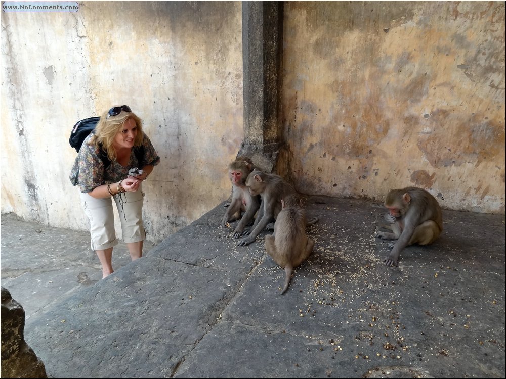 Jaipur Monkey Temple 11.JPG