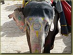 Amer Fort 08.JPG